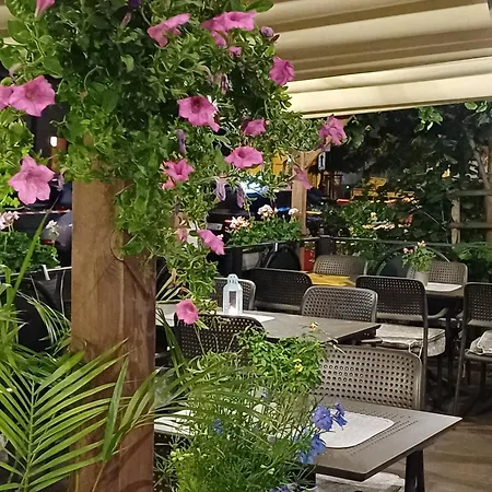 68 Centrum Lejlighed